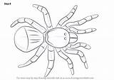 Spider Draw Trapdoor Drawing Step Arachnids Cartoon Email Getdrawings Tutorial Learn Necessary Improvements Finally Finish Make Tutorials Drawingtutorials101 sketch template