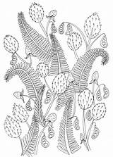 Welshpixie Deviantart Pages Coloring Flowers Ferns Adult Colouring sketch template