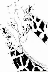 Giraffe Coloring Dot Pages Dots Connect Coloringpages101 Kids Printable Pdf sketch template