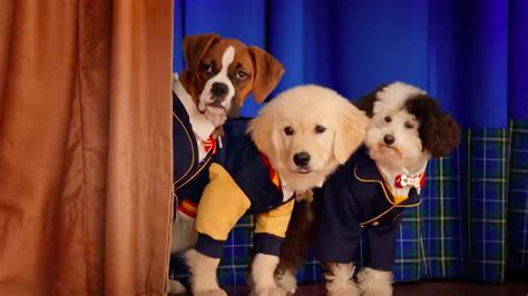 escuela de cachorros la serie infantil  se estrena este viernes  de febrero en netflix