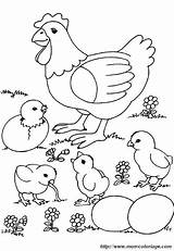 Galline Tagliata Duna Stampata Hen Chick Chicks sketch template