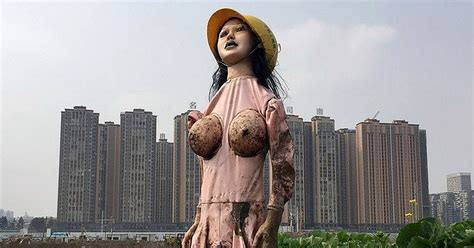 farmers using sex dolls as scarecrows to keep vermin and
