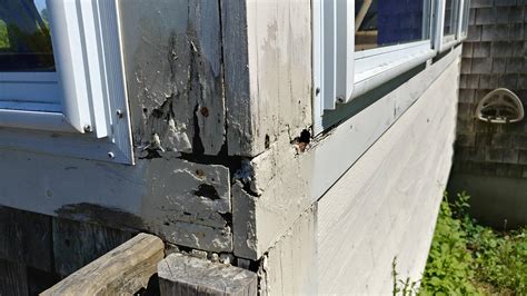 exterior trim rotting     fix  home