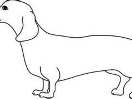 wiener dog drawing    clipartmag
