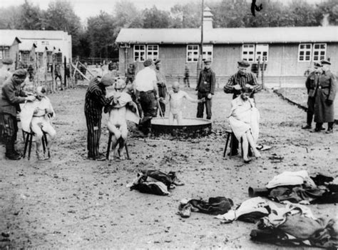 215 Best Auschwitz Images On Pinterest World War Two