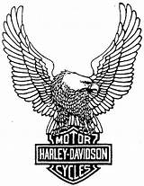 Harley Davidson Logo Outline Drawing Eagle Coloring Dessin Clip Drawings Symbol Tattoos Clipart Stencils Tattoo Skull Dibujo Para Moto Board sketch template