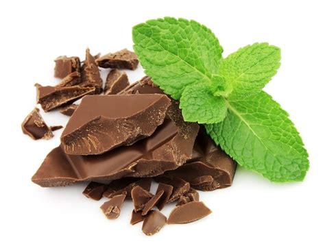 mint chocolate taste  good  blog legacy