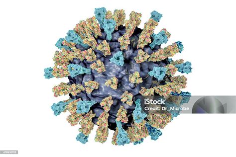 ilustrasi virus campak foto stok  gambar  virus