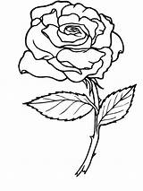 Coloring Rose Pages Book Clipart sketch template