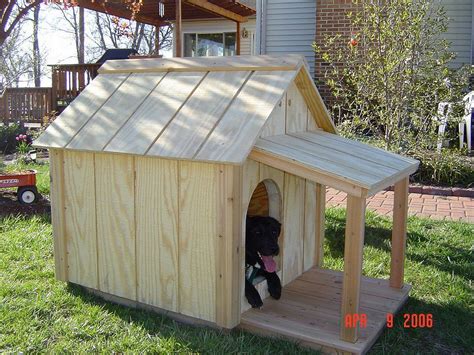 dog happy  build   insulated dog house   porch outdoor