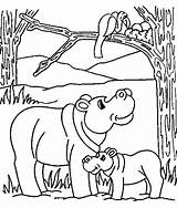 Ippopotamo Hipopotam Colorat Nil Kuda Nijlpaard Mewarnai Hippo Kolorowanki Flusspferde Kolorowanka Kleurplaten Jong Kleurplaat Bergerak Hewan Coloriages Disegno Ausmalbild Hippopotames sketch template