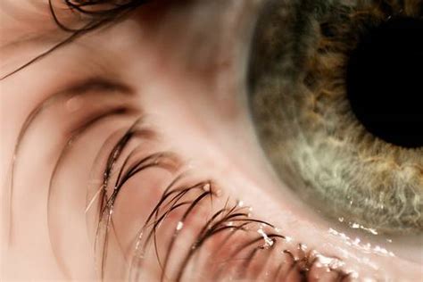 20 beautiful examples of macro eye photography
