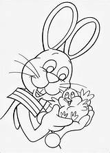 Cottontail Peter Coloring Pages sketch template