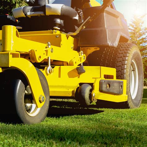fall lawn care maintenance tips  mistakes  avoid
