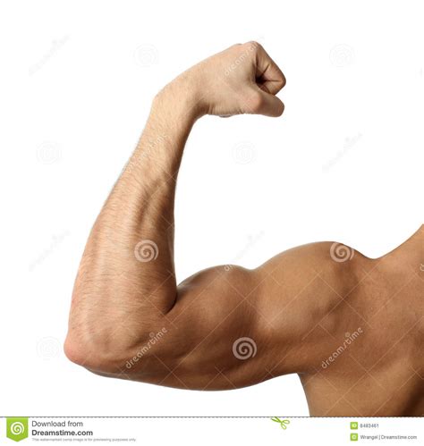 flexing biceps stock image image