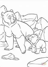 Bear Brother Coloring Pages Fun Kids Koda Kenai Book Personal Create Info Drawing Walking Printable sketch template