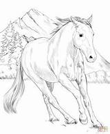 Coloring Paint Horse Pages American Printable Supercoloring Horses Kids Adult Print Cool Colouring Books Etsy Beautiful Drawings Choose Board Animal sketch template