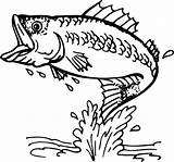 Coloring Fish Pages Bass Outline Printable sketch template