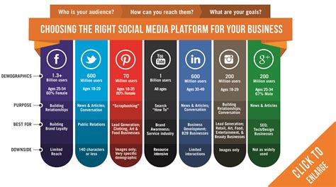 social media platform  business