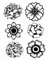 Marigold Coloring Flowers Flower Pages Printable Drawing Rose Sweeps4bloggers Adult Colouring Kids Sheets Stencils Silhouette Pattern Color Sketch Svg Printables sketch template