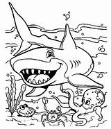 Coloring Shark Requin Sharks Malvorlagen Haifisch Ausmalen Under Ausdrucken Predator Seabed Mermaid sketch template