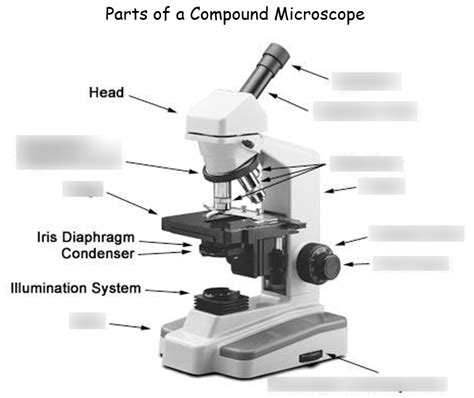 parts   microscope diagram wiring diagram