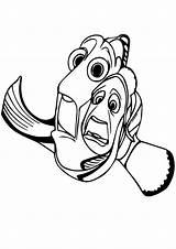 Marlin Nemo Dory Scared Coloringonly Buscando Crush Letzte sketch template