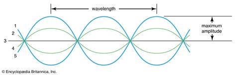 transverse wave definition characteristics examples diagram