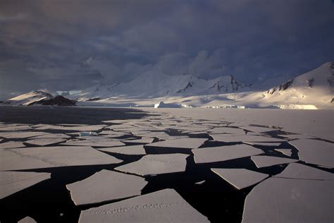 fileantarctic mountains pack ice  ice floesjpg wikimedia commons