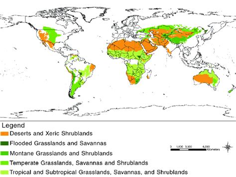 global distribution  grasslands  scientific diagram