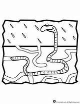Coloring Worm Underground Pages Animal Worms Animals Kids Garden Activities Designlooter Eco Preschool Letter Crafts Jr Woo Popular 305px 74kb sketch template