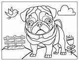 Pugs Pug sketch template