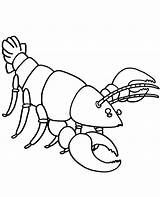 Coloring Crayfish Sheet Pages Topcoloringpages Printable Print Animals sketch template