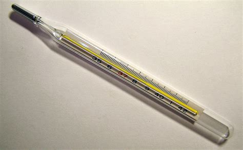 fileclinical thermometer jpg wikimedia commons