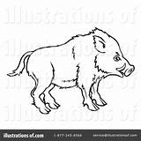 Razorback Boar sketch template