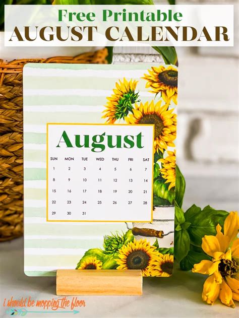 august calendar printable    mopping  floor