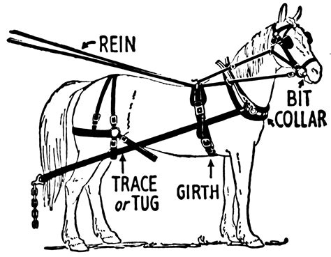 horse harness wikipedia horse harness horse drawn wagon horses