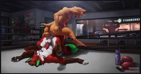 Rule 34 Anal Anal Sex Anthro Boxing Gloves Brown Body Brown Fur Canid