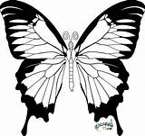 Papillon Coloriage Skull Source Coloriages Clker sketch template