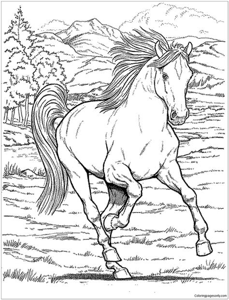 wild horse coloring pages wild horse coloring page  love horses
