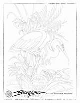 Coloring Pages Bergsma Jody Adult Books sketch template
