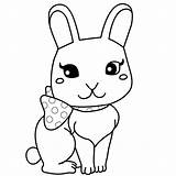 Conejos Conejo Dibujo Bunnies Animales Anipedia Bunny Sin sketch template