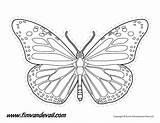 Butterfly Outline Monarch Drawing Line Printable Templates Stencils Coloring Drawings Shape Printables Kids Shapes Paintingvalley Use Large Timvandevall Silhouettes Educational sketch template