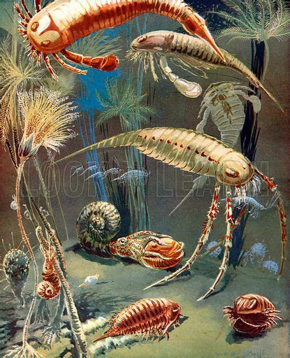 life  paleozoic seas stock image   learn