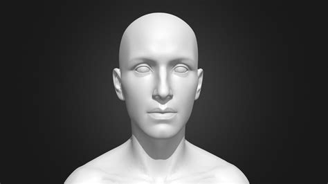 default human head 3d model by beticas [2bbf48e] sketchfab