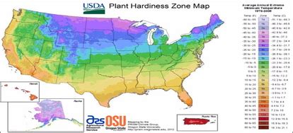 plant hardiness zone doityourselfcom