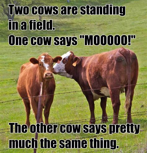 You Have Two Cows Joke Trend Meme