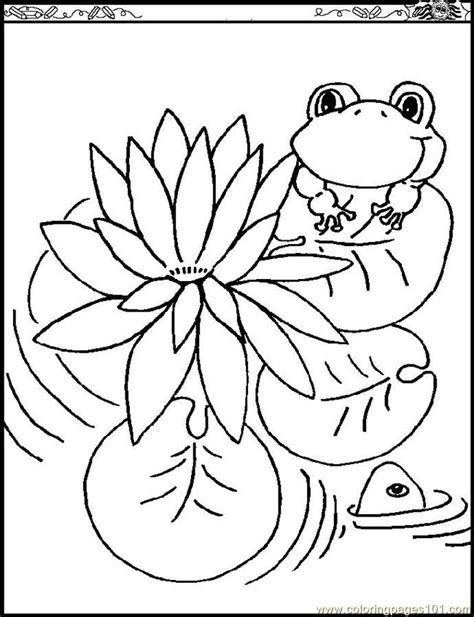 coloring pages water lily natural world flowers  printable