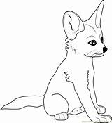 Fox Coloring Pages Baby Fennec Cute Anime Drawing Printable Color Sheets Coloringhome Print Library Clipart Drawings Sketch Popular Designlooter Coloringpages101 sketch template