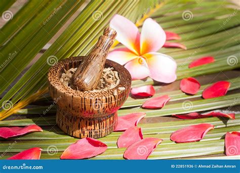 herb spa stock foto image  kleur saldo kokosnoot